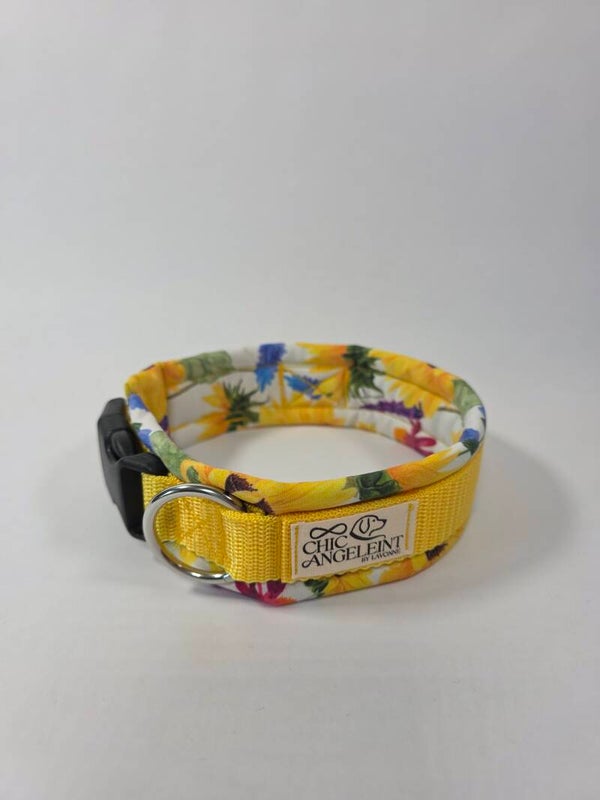 Halsband mit verstecktem Haltegriff