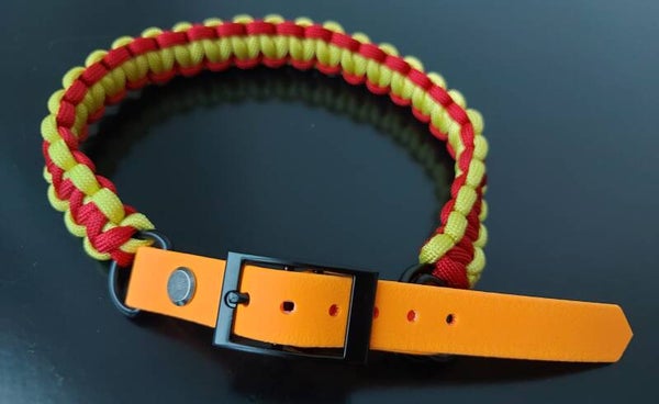 Hundehalsband mit Biothane-Verschluss mittel