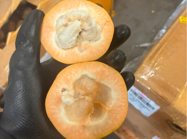 Santol 1/2kg Philippines
