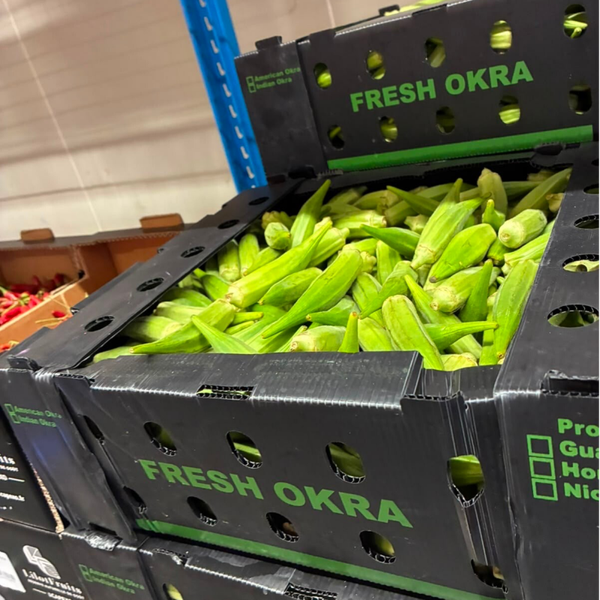 Okra 1/2kg