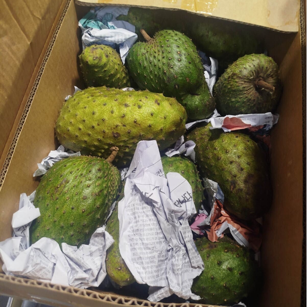 Guyabano 1kg Origin: Philippines