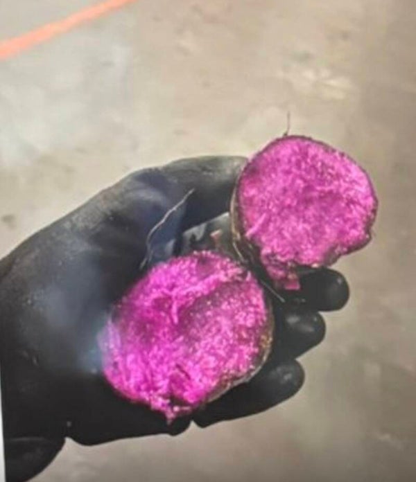 Ube (Purple Yam) Frisch 1/2kg Origin: Philippines
