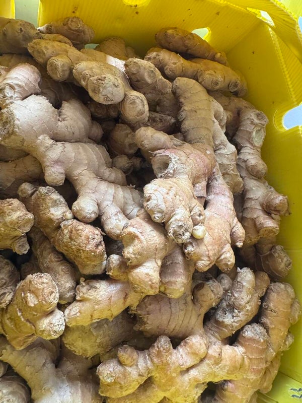 Gemüse fr. Ingwer 1/2kg Ginger