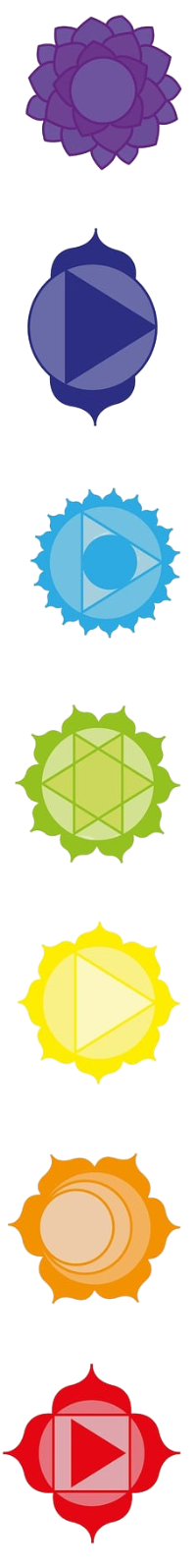 Afbeelding van de 7 chackra's. Wanneer je meer inzicht wilt in de liefde, het werk, het gezin of andere zaken waar je tegenaan loopt dan kan ik contact maken met overleden dierbaren om waar te nemen wat zij door willen geven. De mooie boodschappen die doo