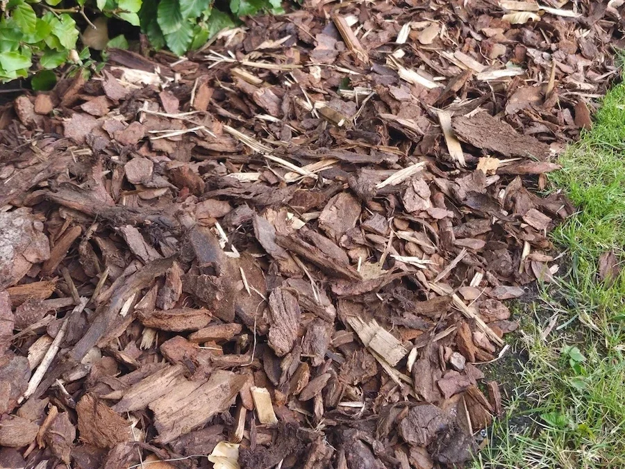 Close-up van grove boomschors met stukken van 25 tot 40 mm