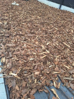 schors in tuin