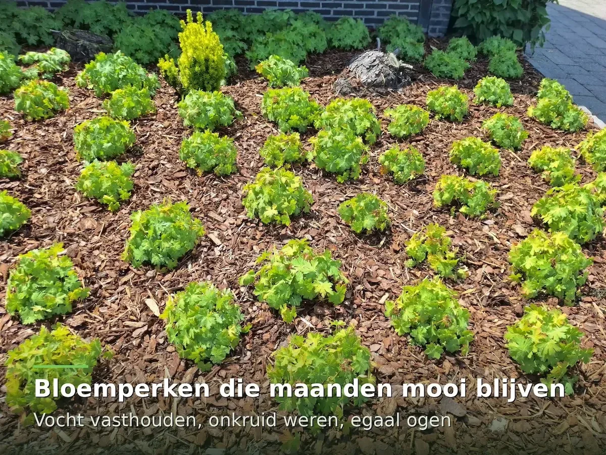 Bloemperk met jonge vaste planten en boomschors als bodembedekking