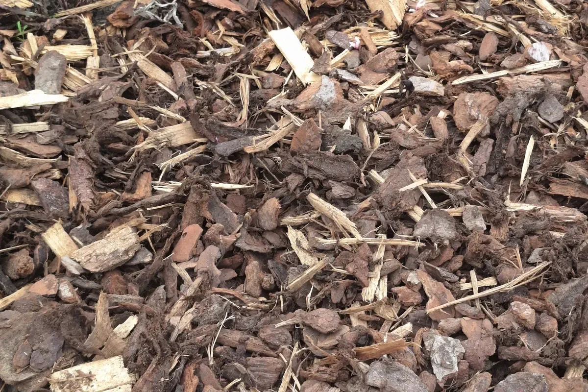 Franse pijnboomschors 25-40 mm geschikt voor tuin en borders in Oost-Vlaanderen