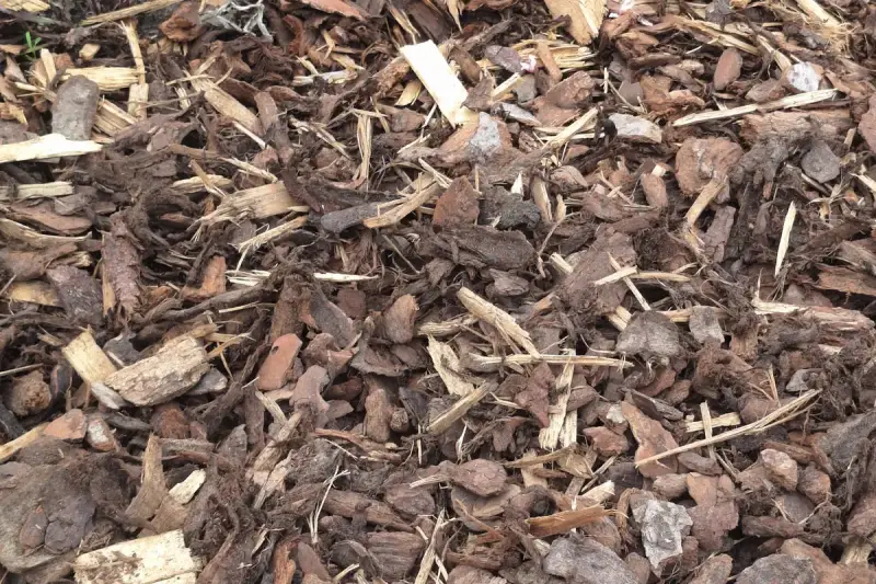 Franse boomschors 25-40 mm geschikt voor tuin en borders in Oost-Vlaanderen