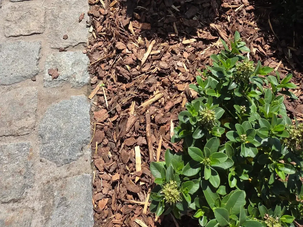 boomschors in de tuin
