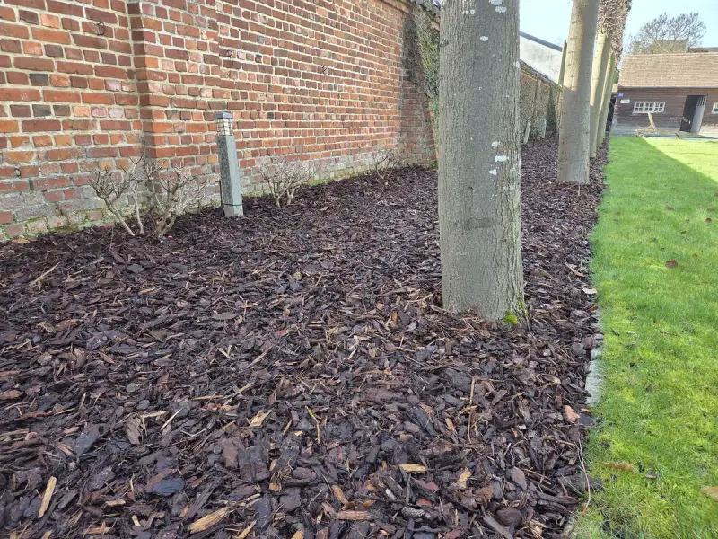 Boomschors voor tuin aangebracht langs bomen en border
