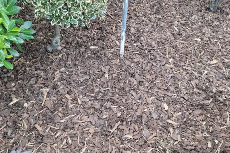 Egale laag boomschors rond planten voor natuurlijke onkruidonderdrukking