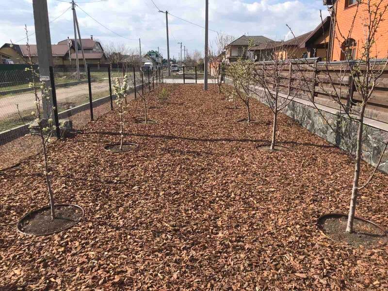 tuinperceel met boomschors