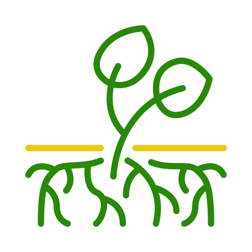 Designed by Flaticon 6