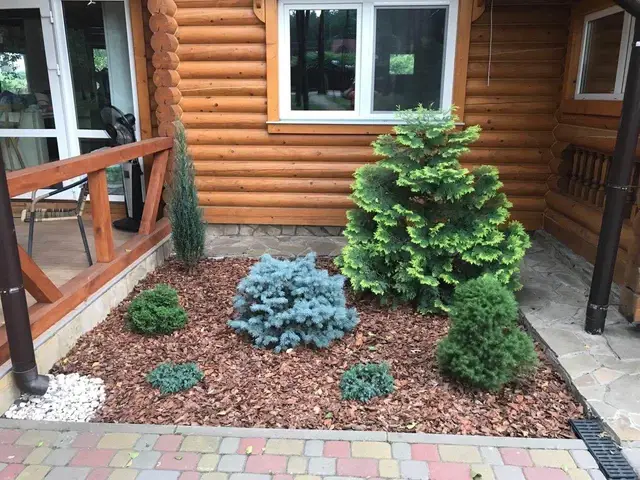 Siertuin met boomschors als bodembedekking rond struiken en coniferen