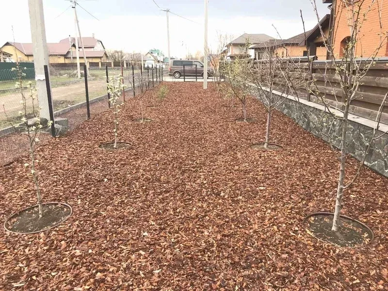 schors van onkruid_2