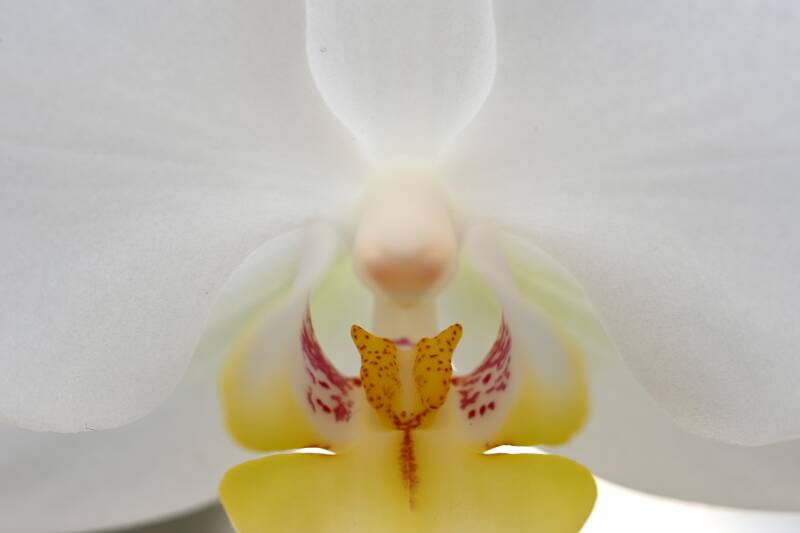 dsc_2637-standard.jpg