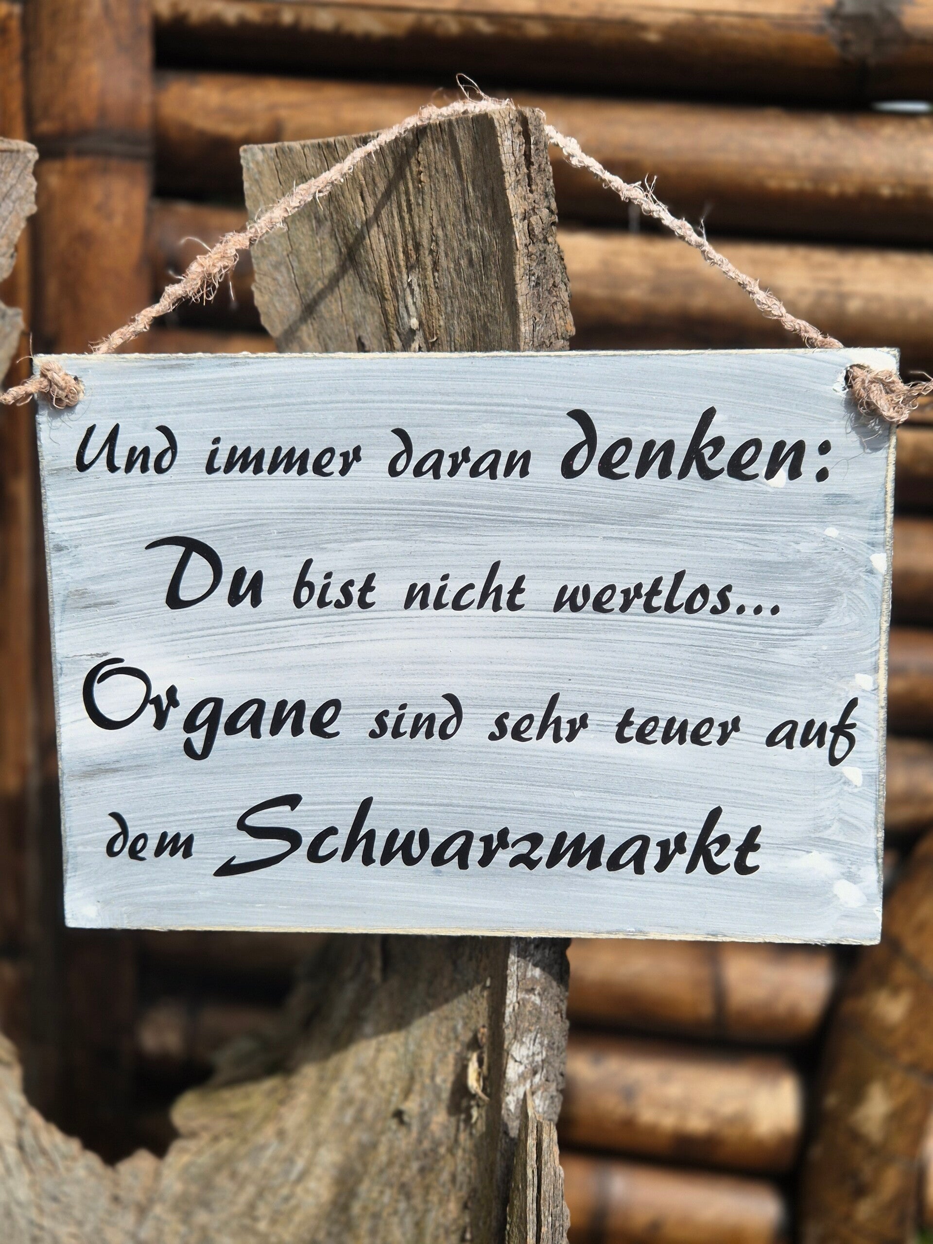 Holzschild Spruch- Organe