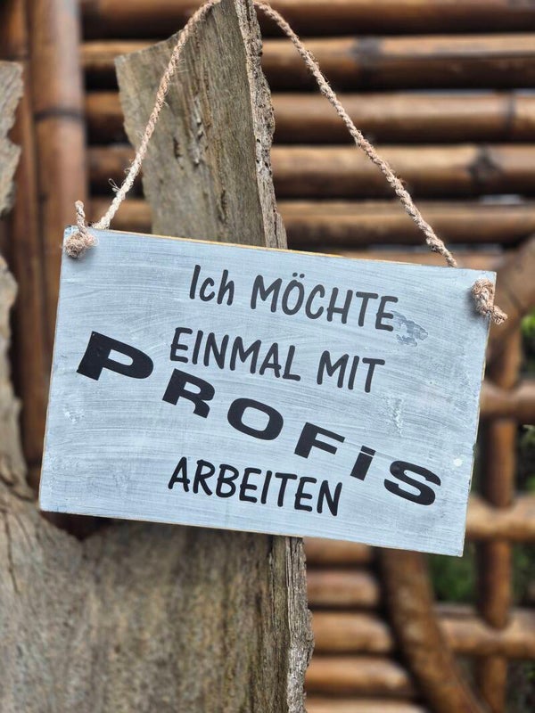 Holzschild Spruch. Profi