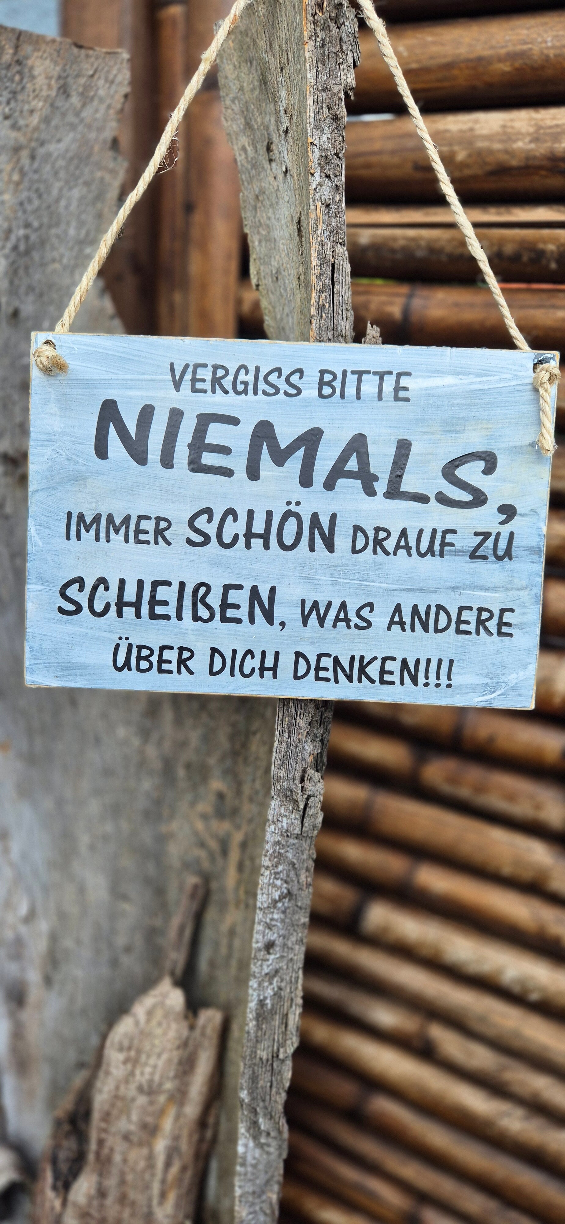 Holzschild Spruch Niemals