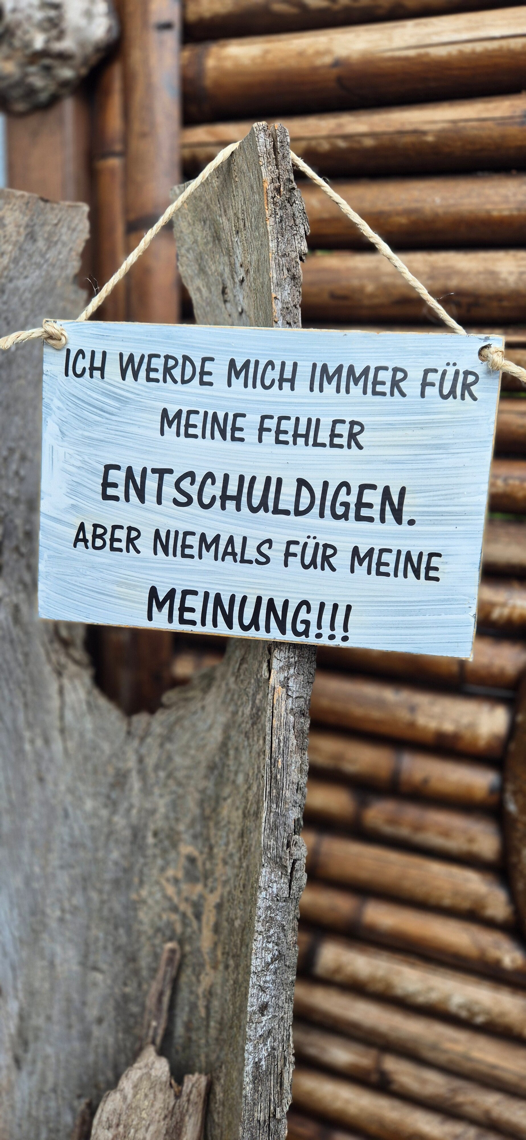 Holzschild Spruch Meinung