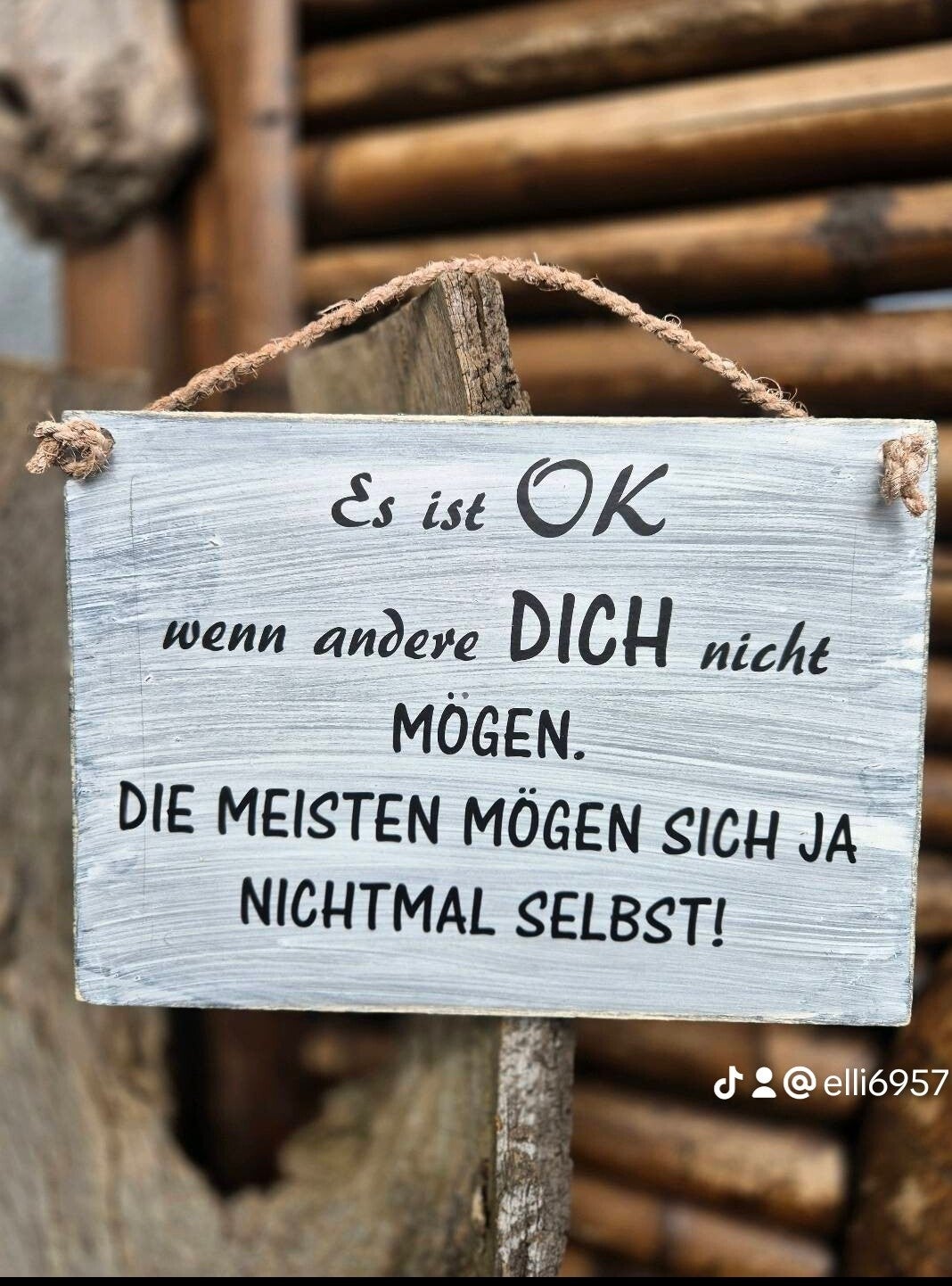 Holzschild Spruch nicht mögen