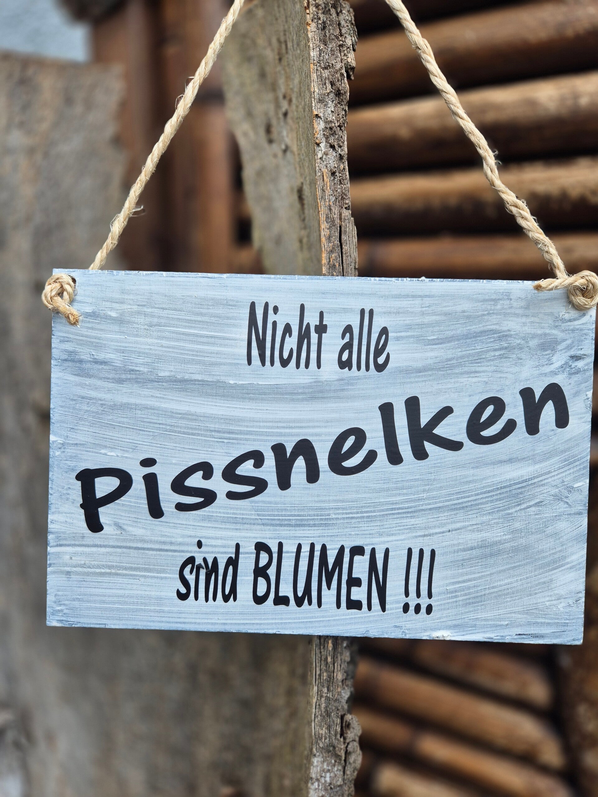 Holzschild Spruch Pissnelken