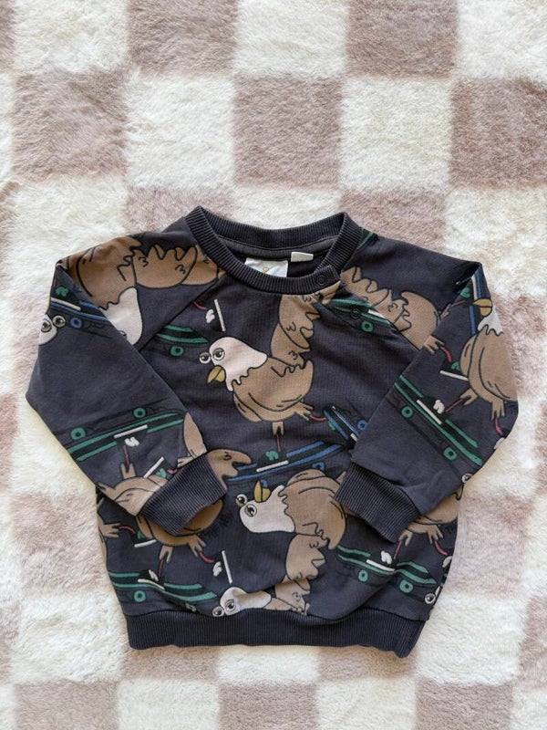 The New sweater maat 74