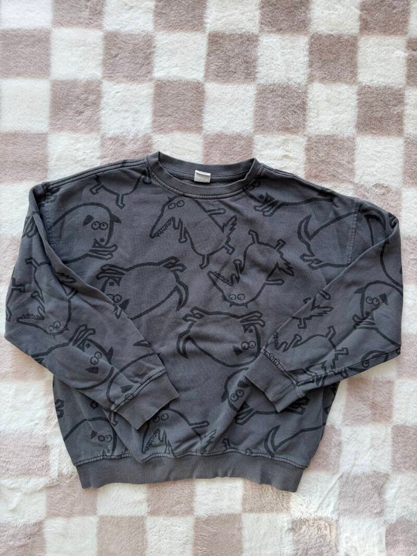 Zara sweater maat 146/152