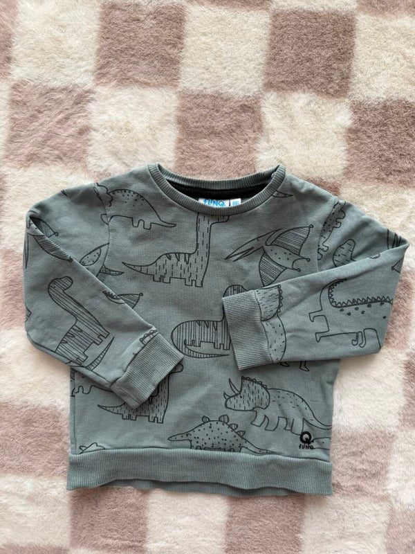 FlinQ sweater maat 86