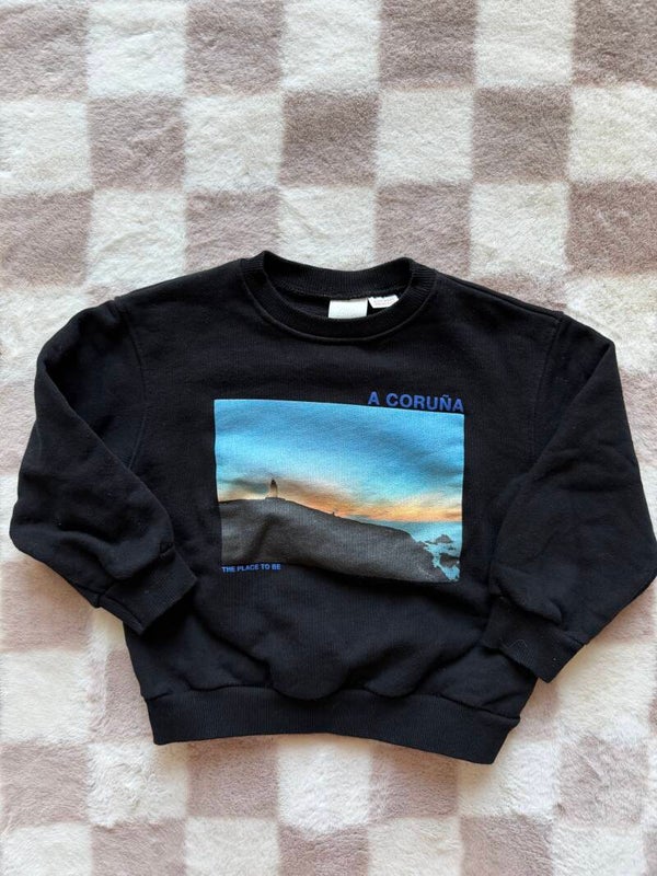 Zara sweater maat 110cm