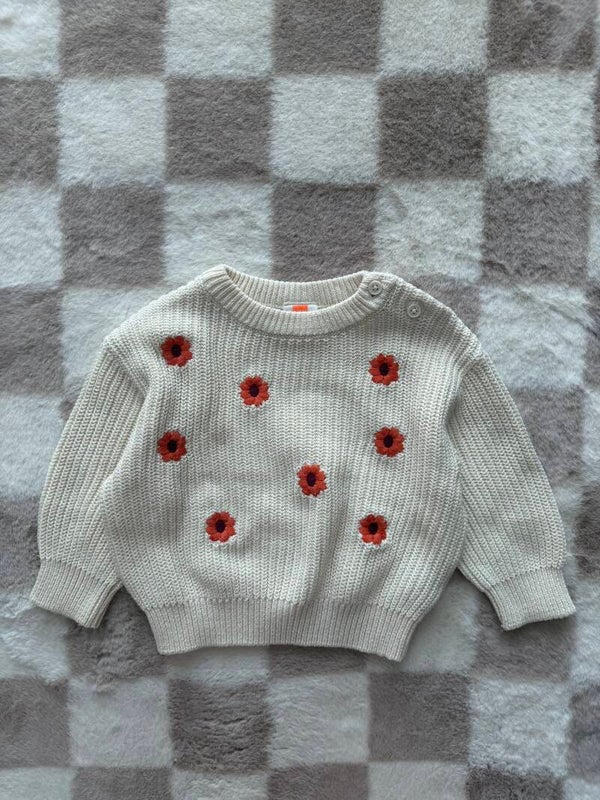 Hema sweater maat 68