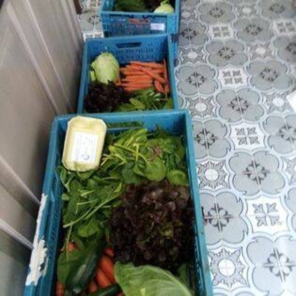 Groentepakket 'de groentelaar' groot - 4-6 personen