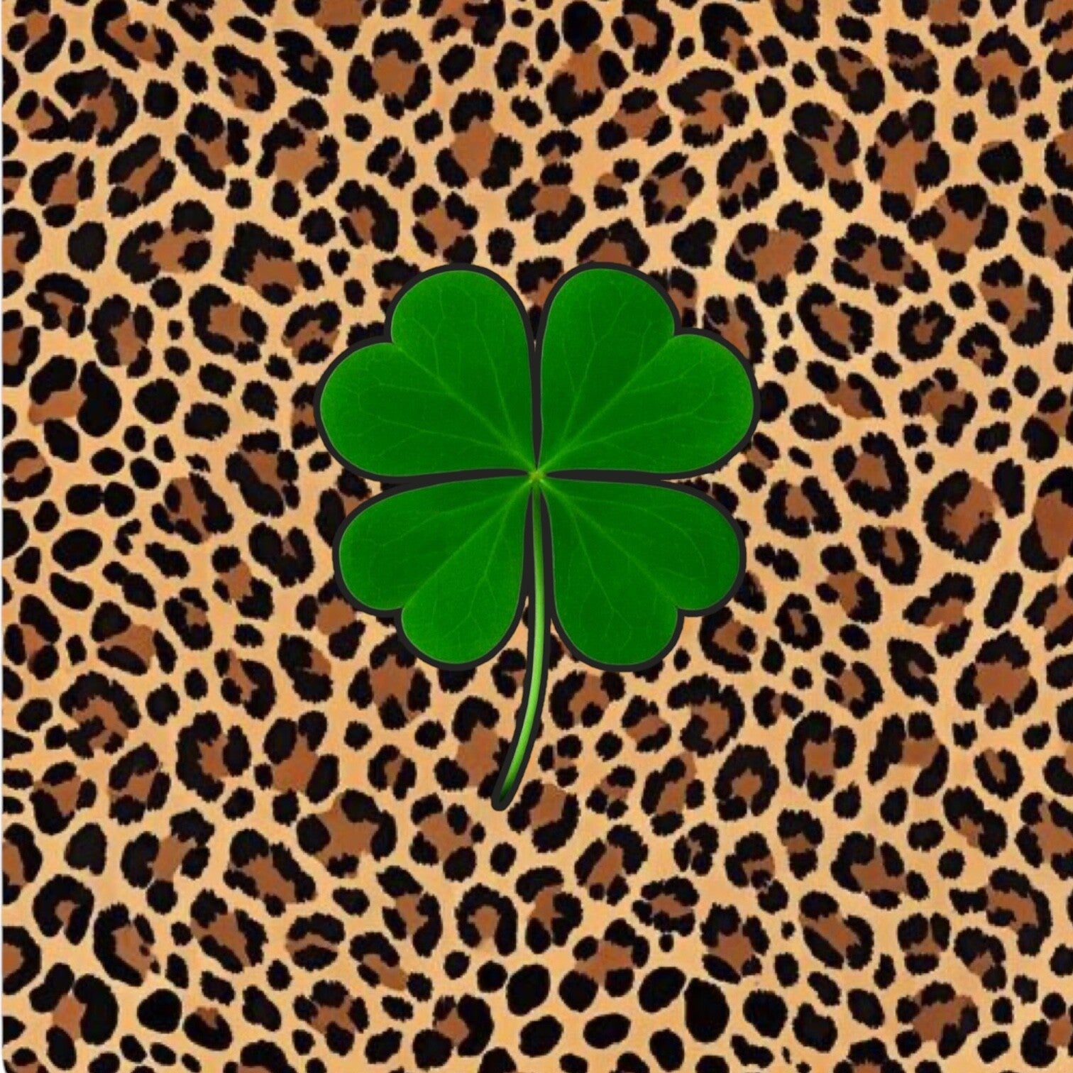 Klavertje 4 Panter