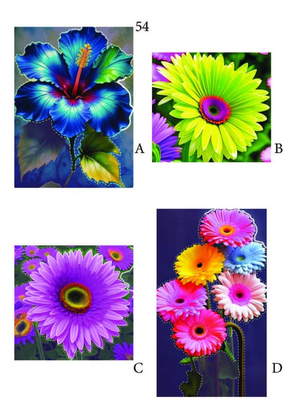 Bloemen pagina 54