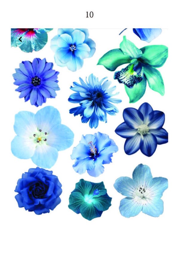 Delfts Blauw pagina 10