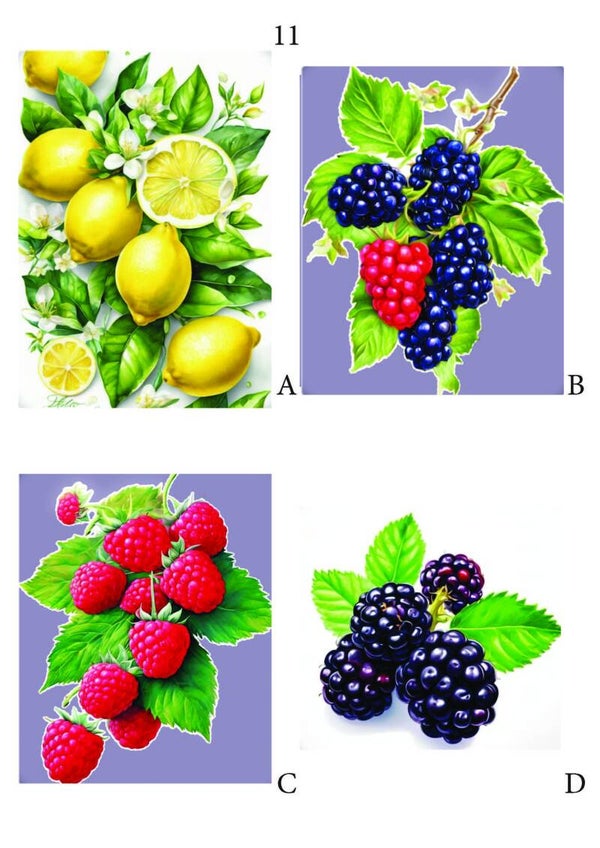 Fruit Pagina 11