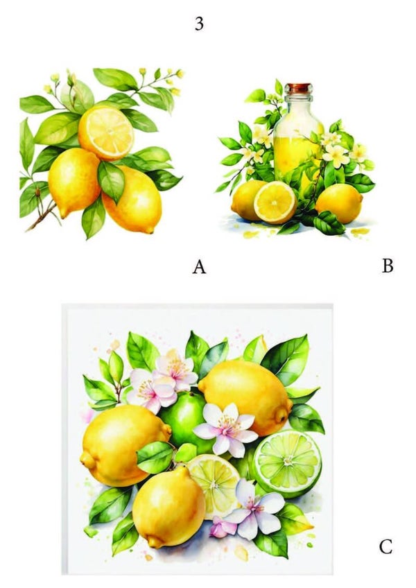 fruit pagina 3