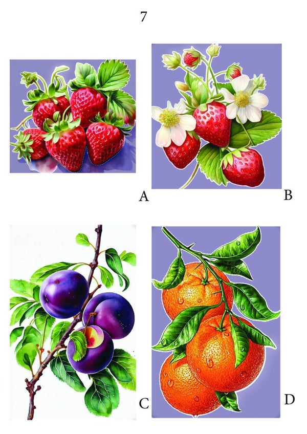Fruit pagina 7