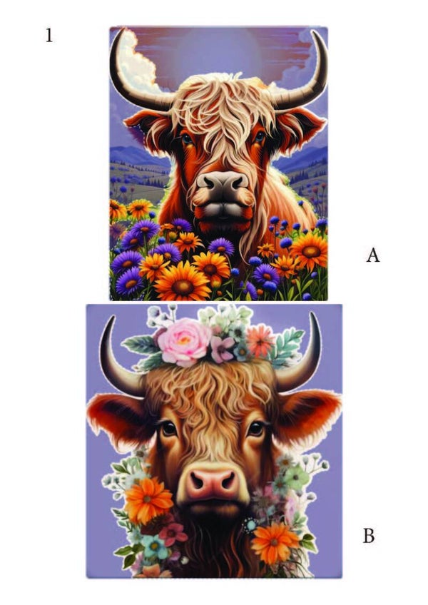 Schotse Hooglanders pagina 01