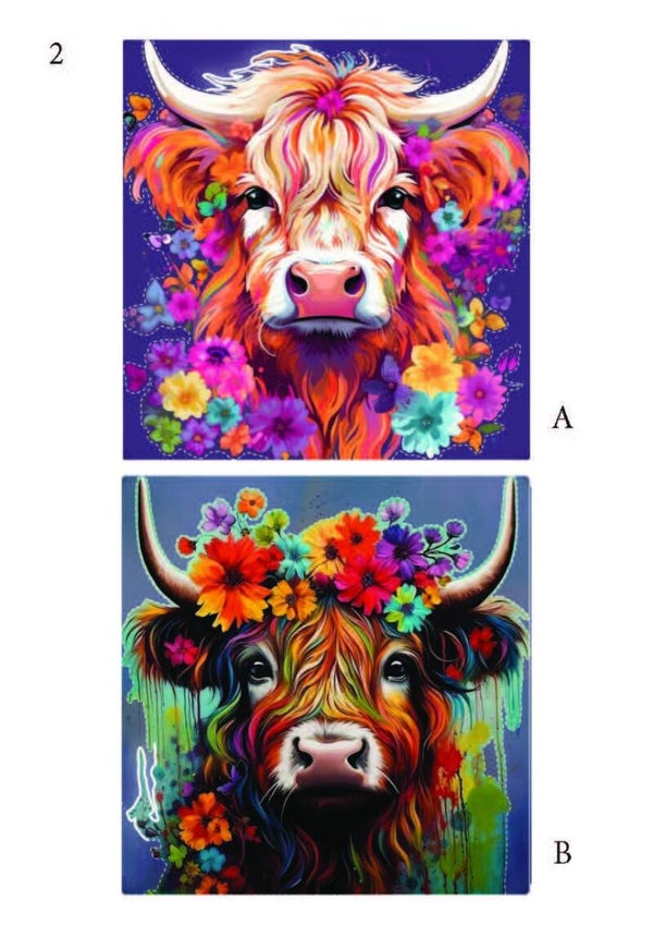 Schotse Hooglanders pagina 02