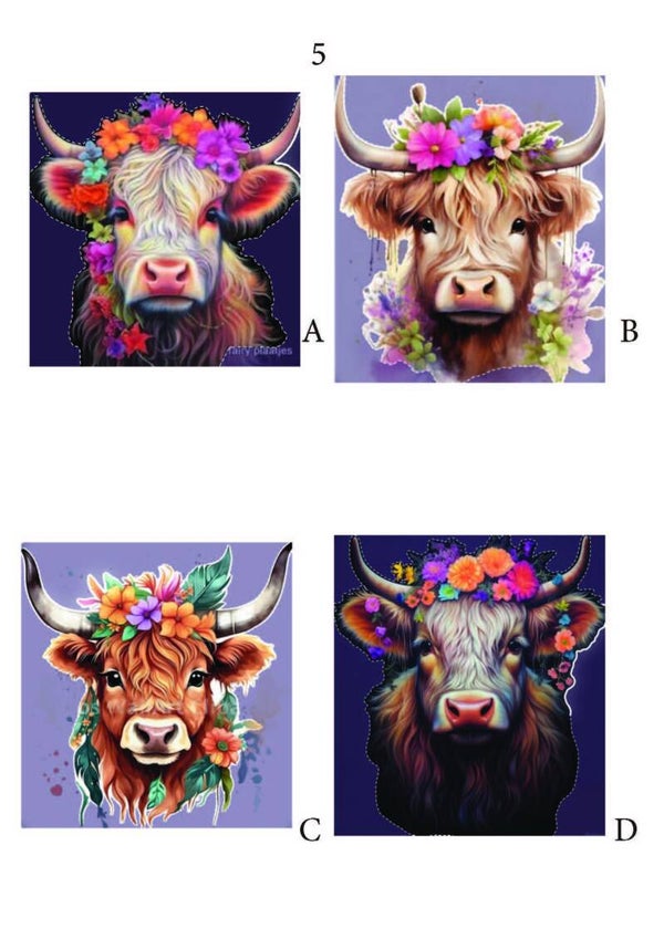 Schotse Hooglanders pagina 05