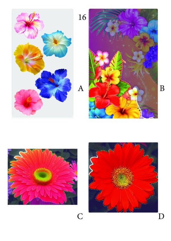 Bloemen pagina 16