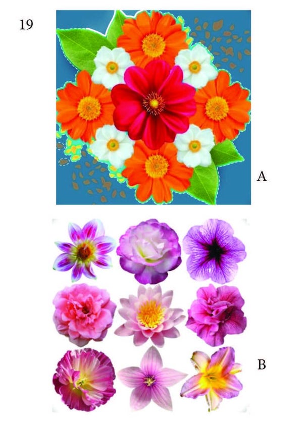 Bloemen pagina 19