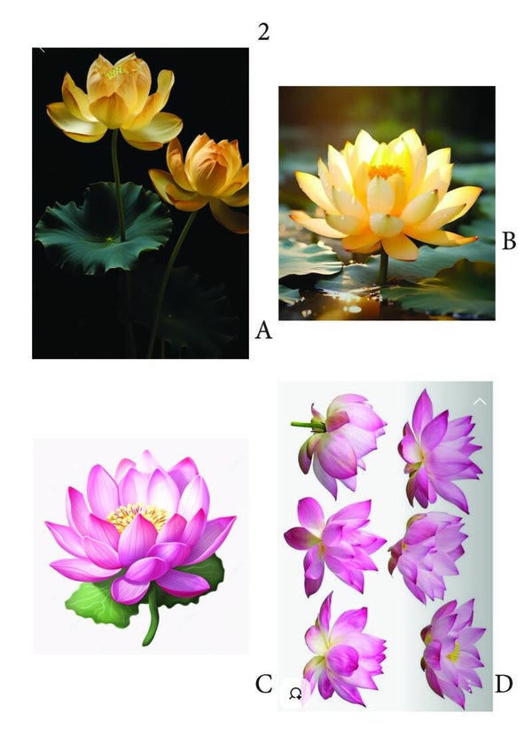 Lotus Bloemen pagina 2