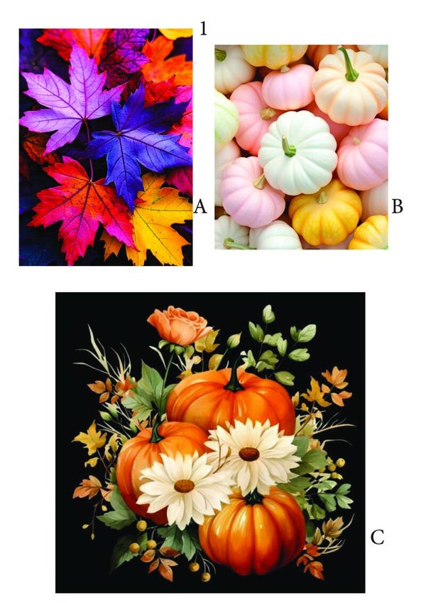 Pompoenen en Herfst 1