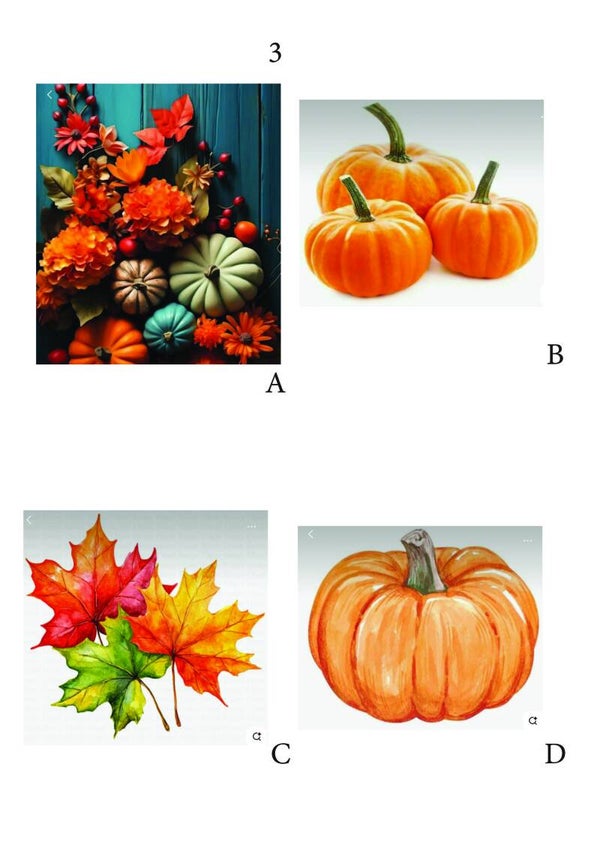 Pompoenen en Herfst 3
