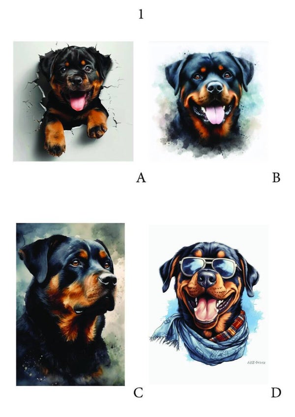 Rottweilers pagina 1