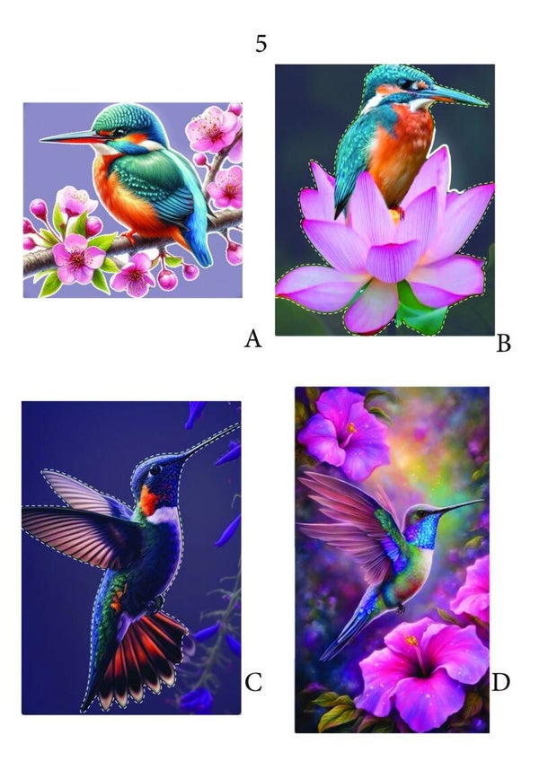 Vogels pagina 05