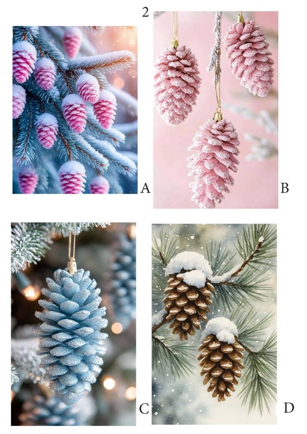 Winter 2